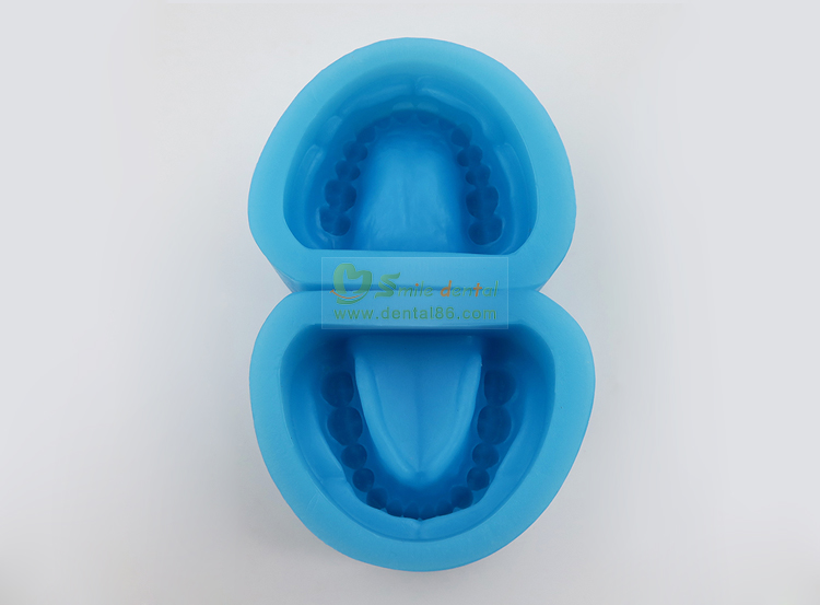TM-C2 Pathology Model with a tooth missing